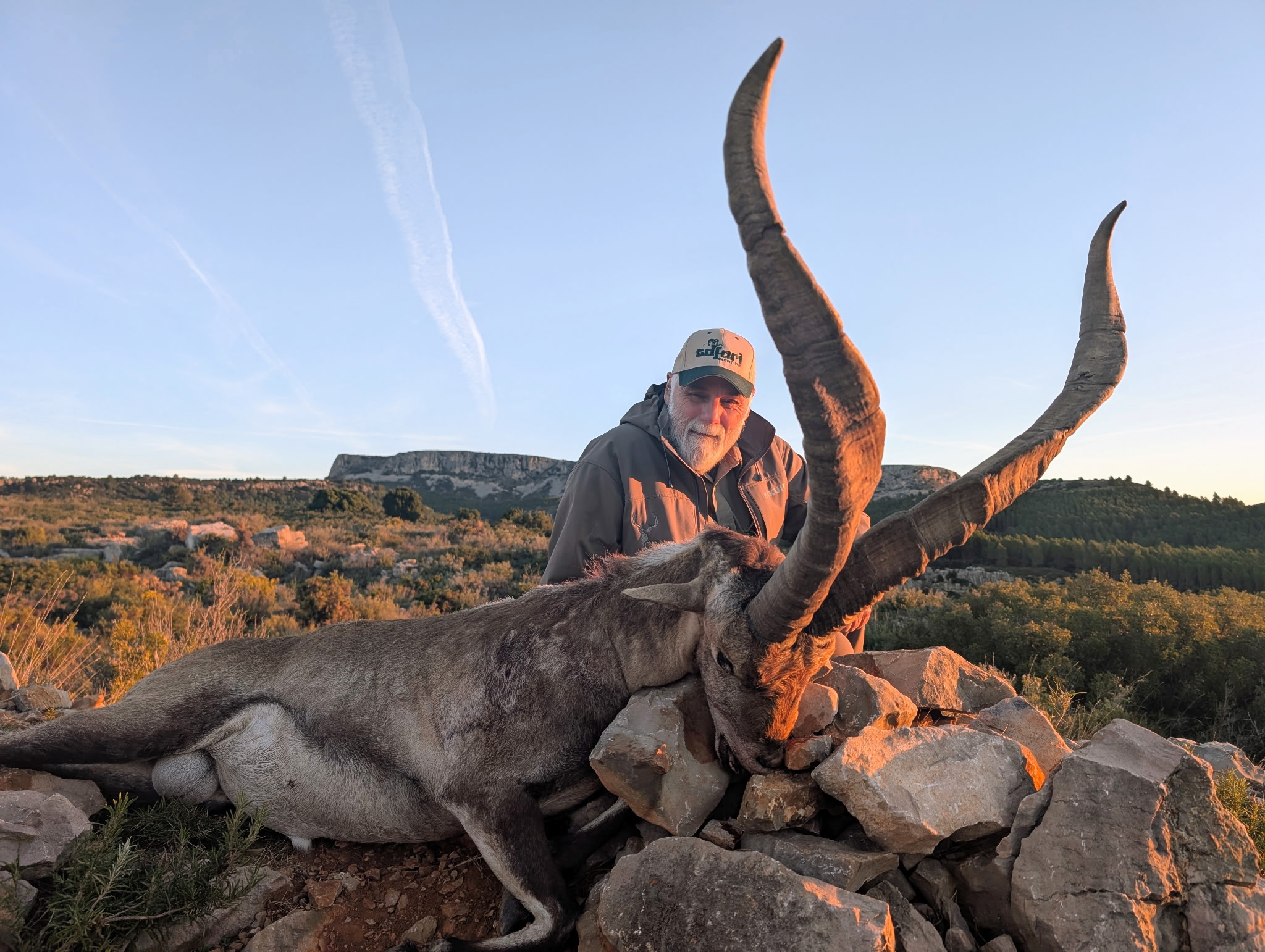 Alt Text is good for SEO